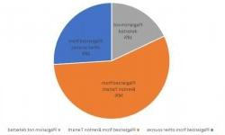 Pie chart showing plagiarism breakdown